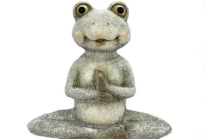 Yoga Frog