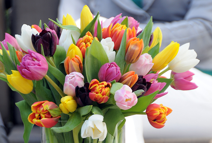 Fall Bulbs